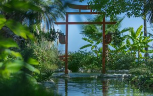 محوطه هتل محوطه هتل