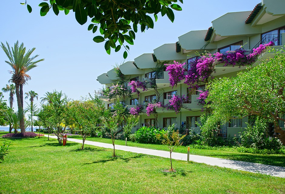 محوطه هتل محوطه هتل