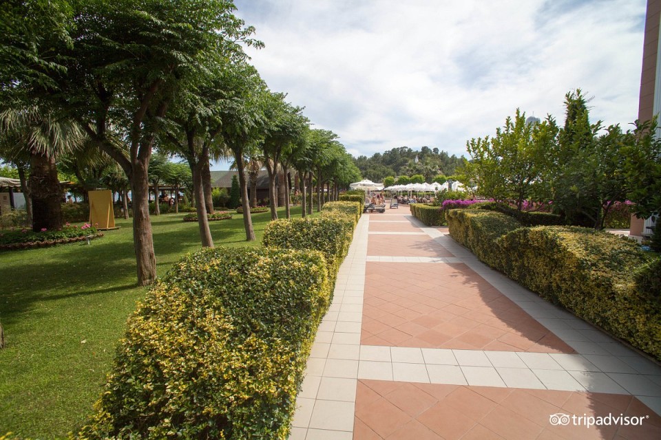 محوطه هتل محوطه هتل