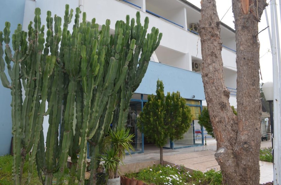 محوطه محوطه