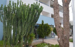 محوطه محوطه