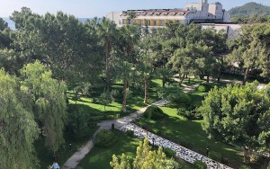 محوطه هتل محوطه هتل