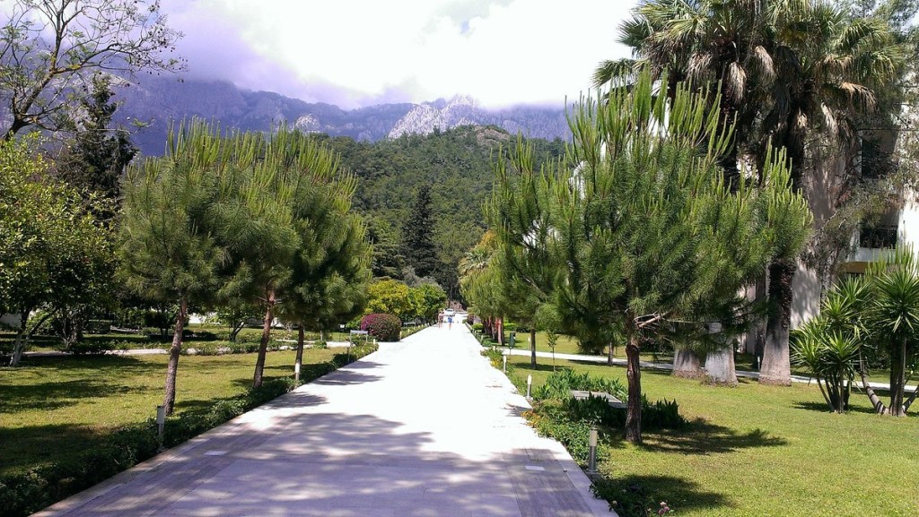 محوطه هتل محوطه هتل