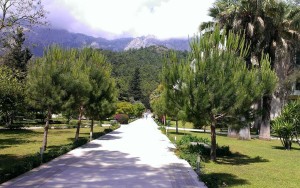 محوطه هتل محوطه هتل