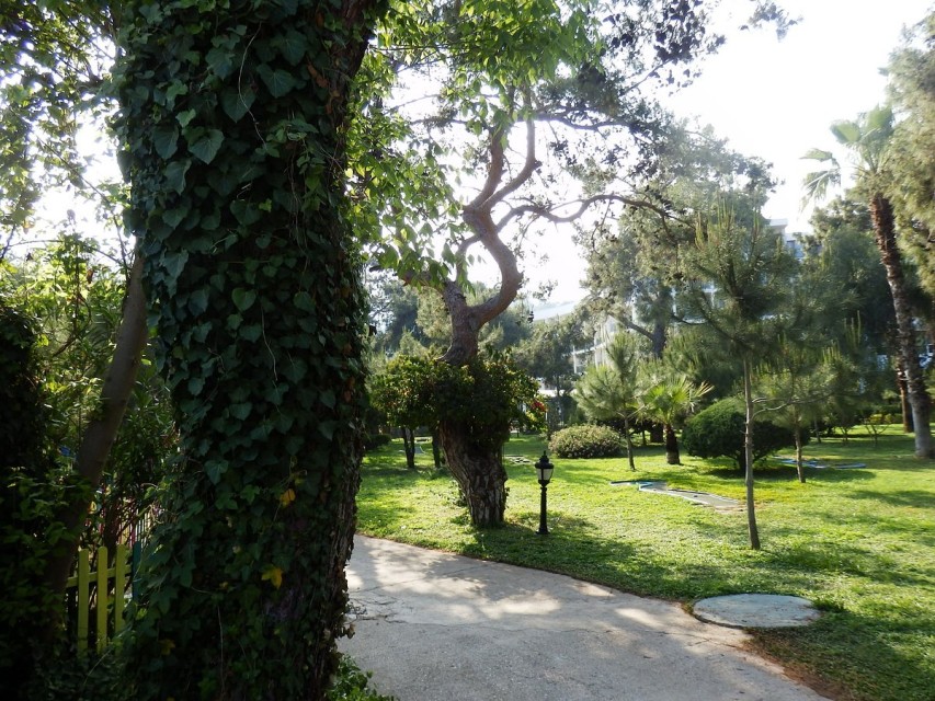 محوطه هتل محوطه هتل