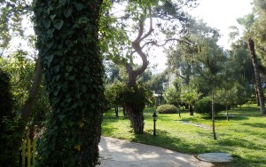 محوطه هتل محوطه هتل