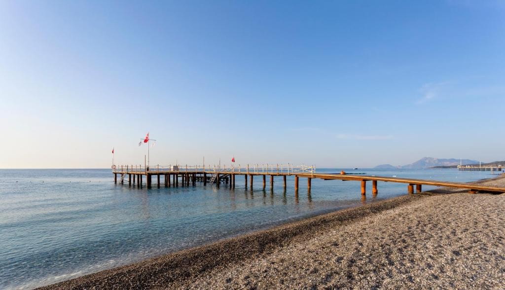 محوطه هتل محوطه هتل