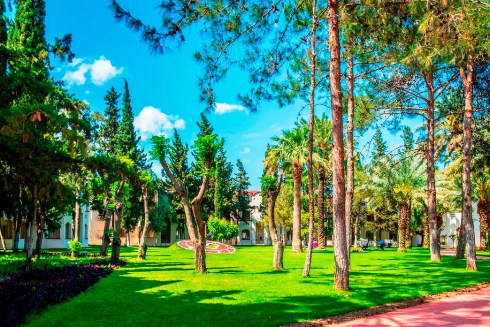 محوطه هتل محوطه هتل