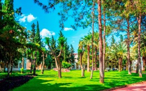 محوطه هتل محوطه هتل