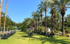 محوطه هتل محوطه هتل