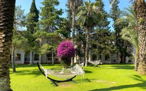 محوطه هتل محوطه هتل