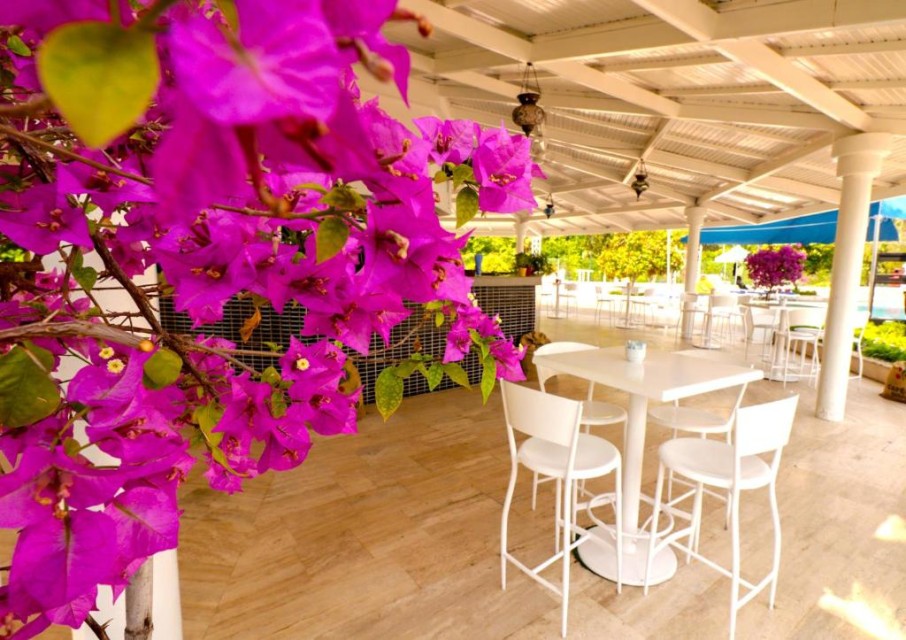 محوطه هتل محوطه هتل