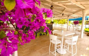 محوطه هتل محوطه هتل