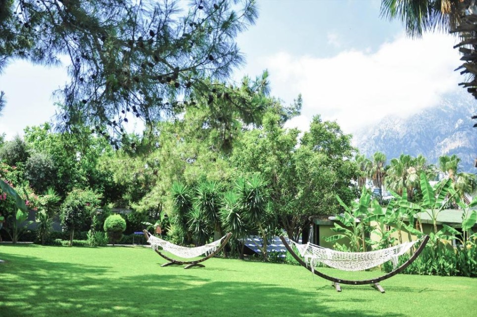 محوطه هتل محوطه هتل