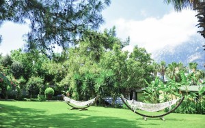 محوطه هتل محوطه هتل