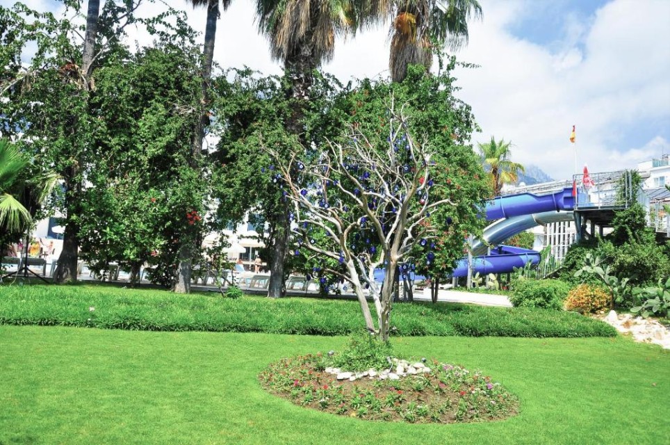 محوطه هتل محوطه هتل