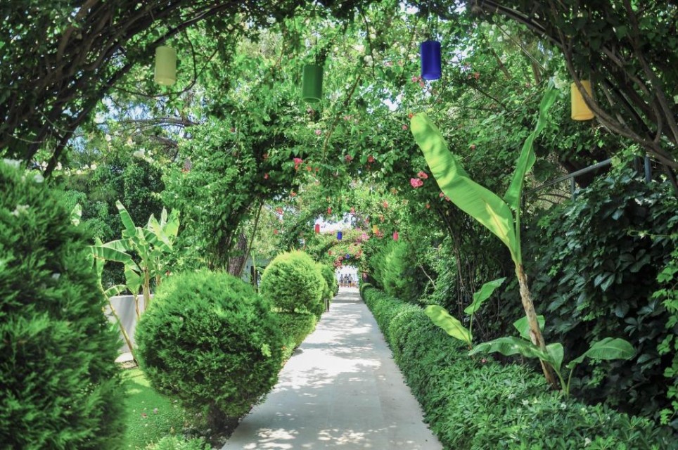 محوطه هتل محوطه هتل