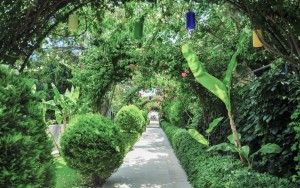 محوطه هتل محوطه هتل