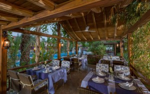 رستوران رستوران