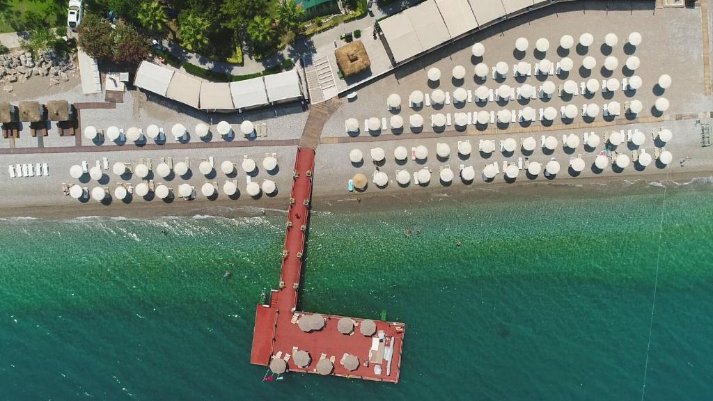 محوطه هتل محوطه هتل