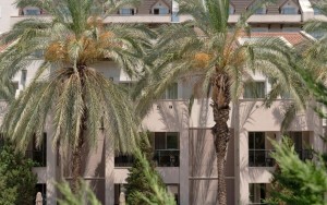 محوطه هتل محوطه هتل