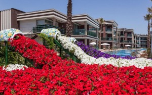 محوطه هتل محوطه هتل