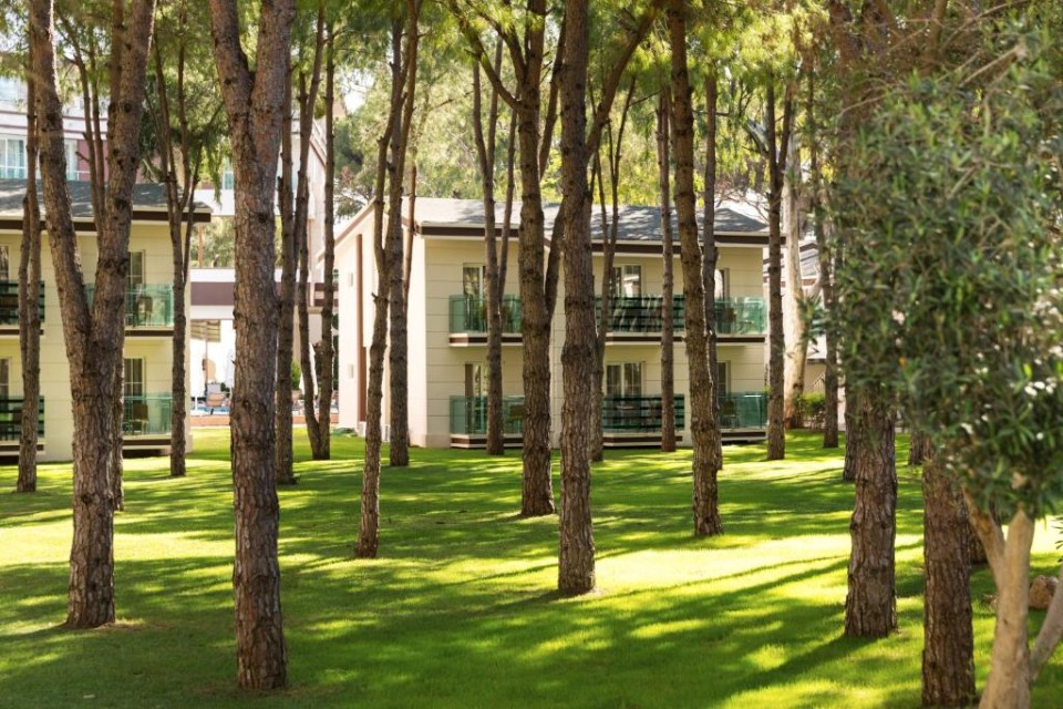 محوطه هتل محوطه هتل