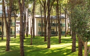 محوطه هتل محوطه هتل