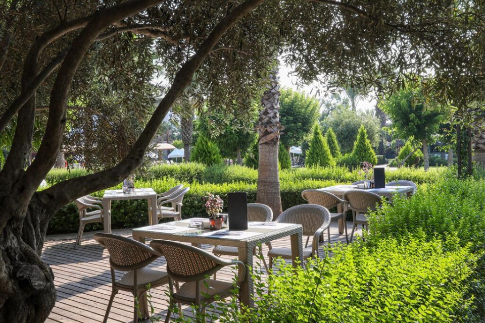 محوطه هتل محوطه هتل