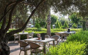 محوطه هتل محوطه هتل