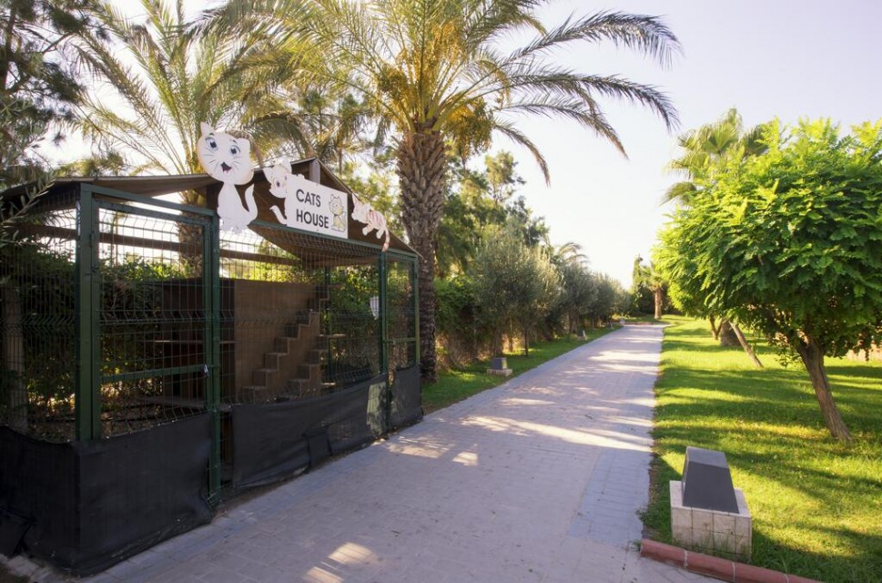 محوطه هتل محوطه هتل