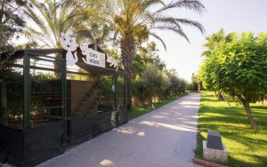 محوطه هتل محوطه هتل