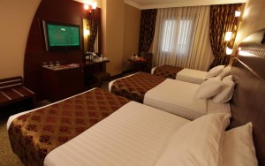 hotels-turkey-istanbul-Golden-Park-Hotel-اتاق13-bb880fb51c6b9371b902060267e97128.jpg