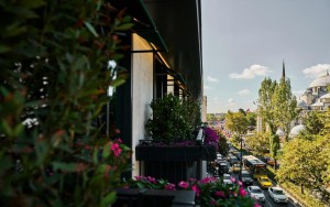 ویو هتل ویو هتل