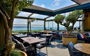 محوطه هتل محوطه هتل