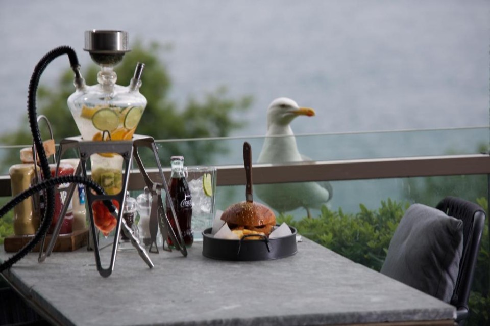 محوطه هتل محوطه هتل