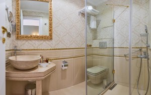 سرویس بهداشتی