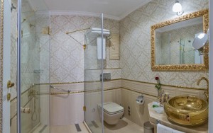 سرویس بهداشتی