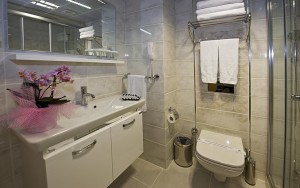 سرویس بهداشتی