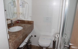 سرویس بهداشتی