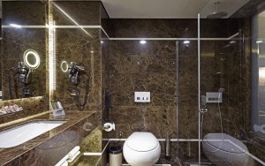 سرویس بهداشتی