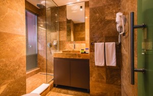 سرویس بهداشتی