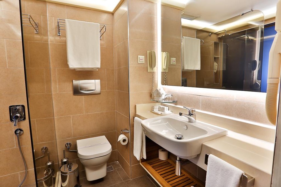 سرویس بهداشتی