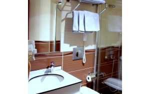 سرویس بهداشتی