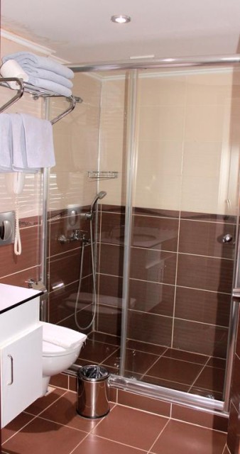 سرویس بهداشتی