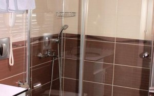 سرویس بهداشتی