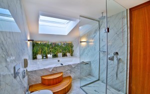 سرویس بهداشتی