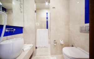 سرویس بهداشتی