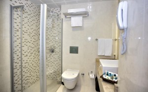 سرویس بهداشتی