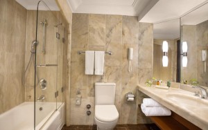 سرویس بهداشتی